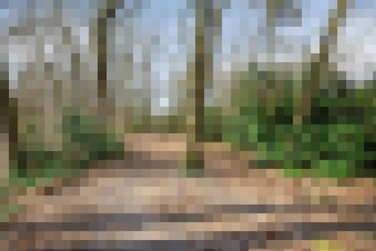 Volderhof 102 Helmond thumbnail 34