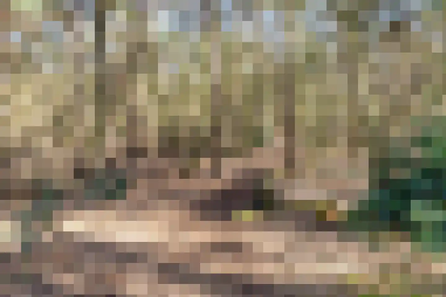 Volderhof 102 Helmond thumbnail 35
