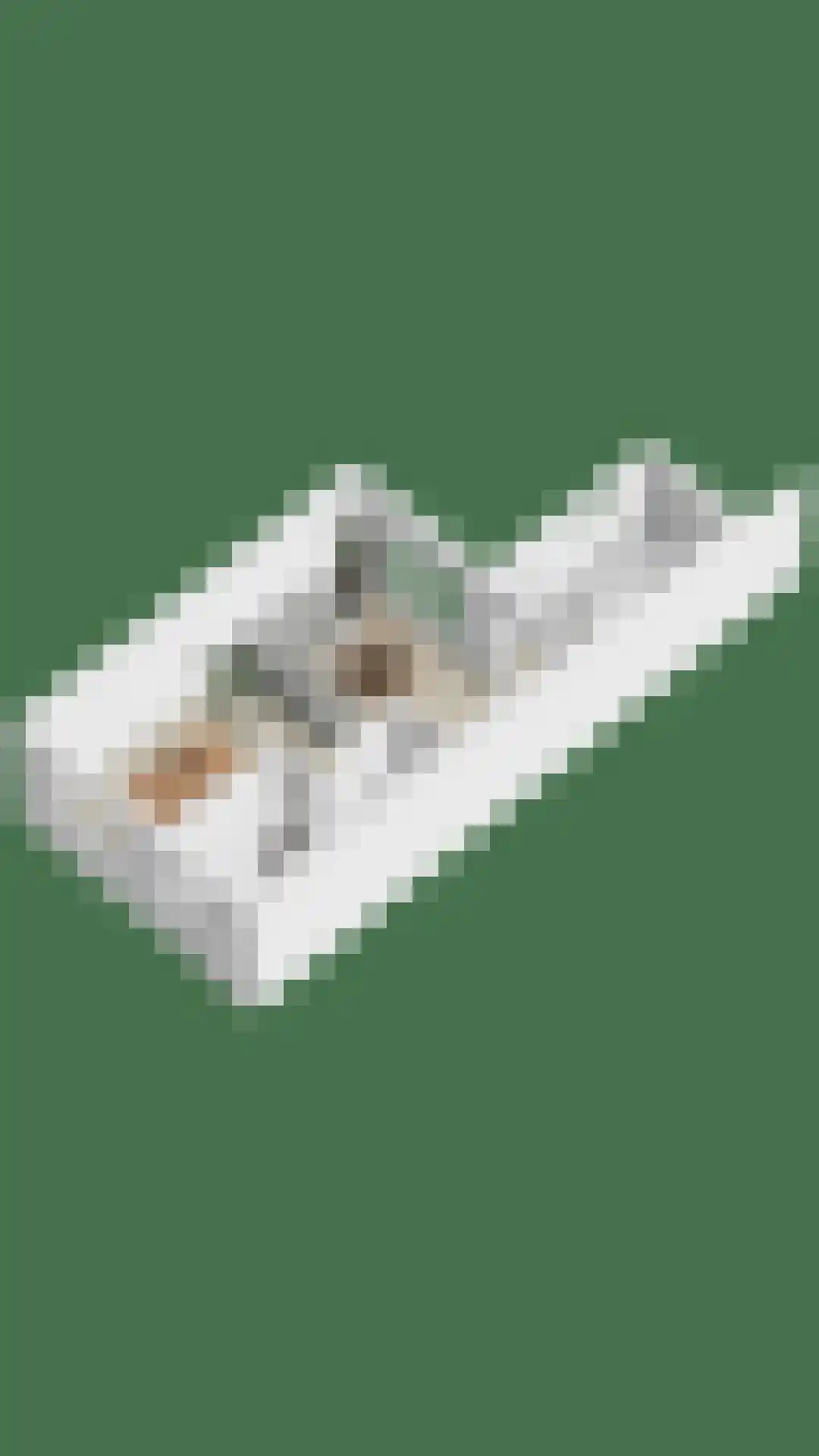 Volderhof 102 Helmond thumbnail 40