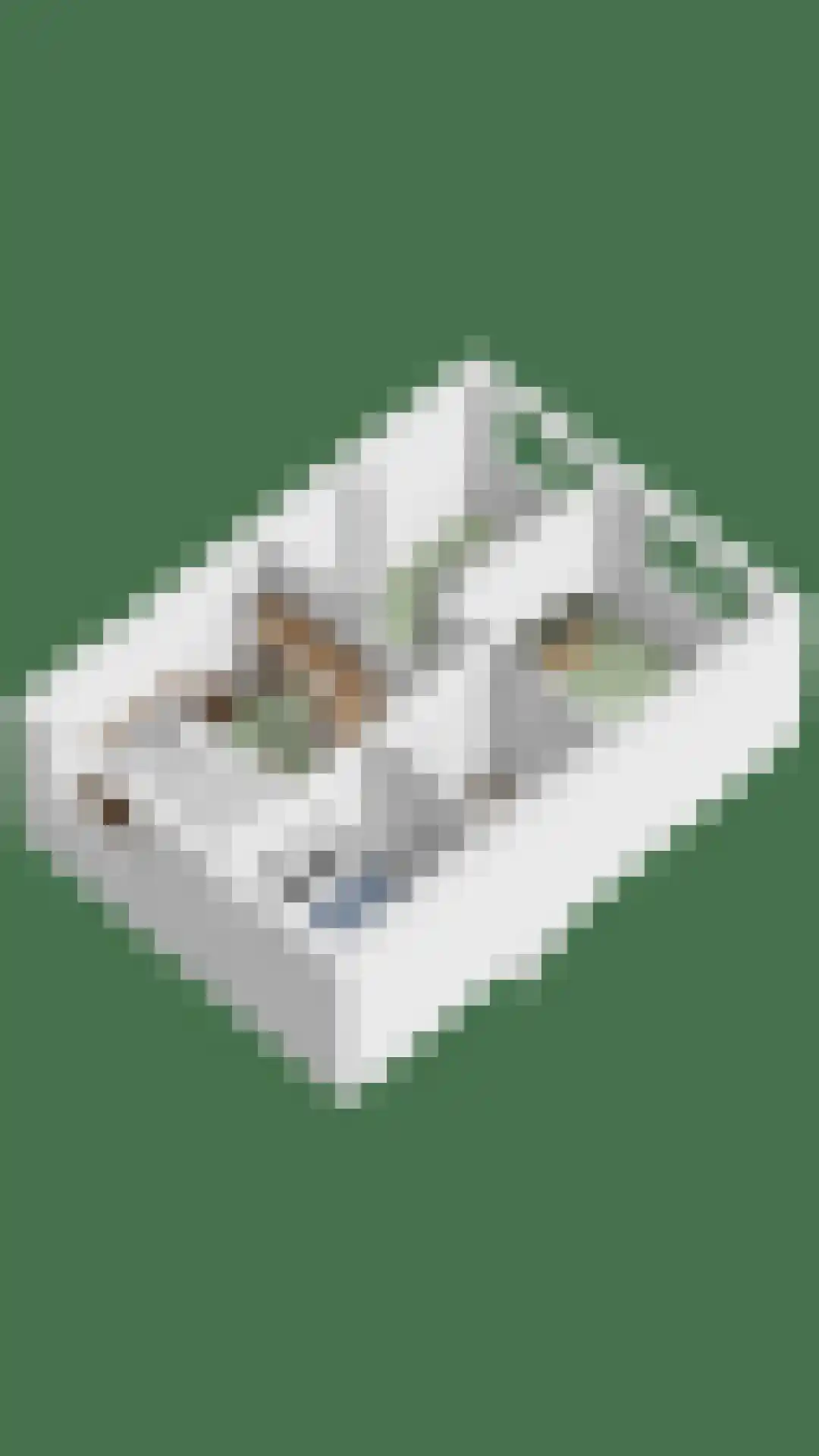Volderhof 102 Helmond thumbnail 41