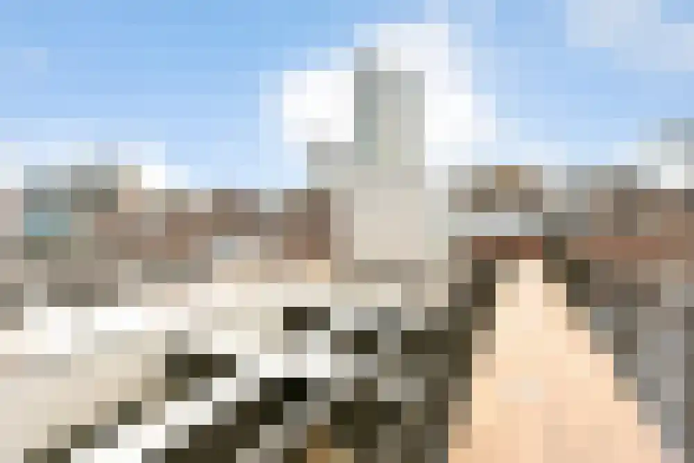 Volderhof 11 Eindhoven thumbnail 10