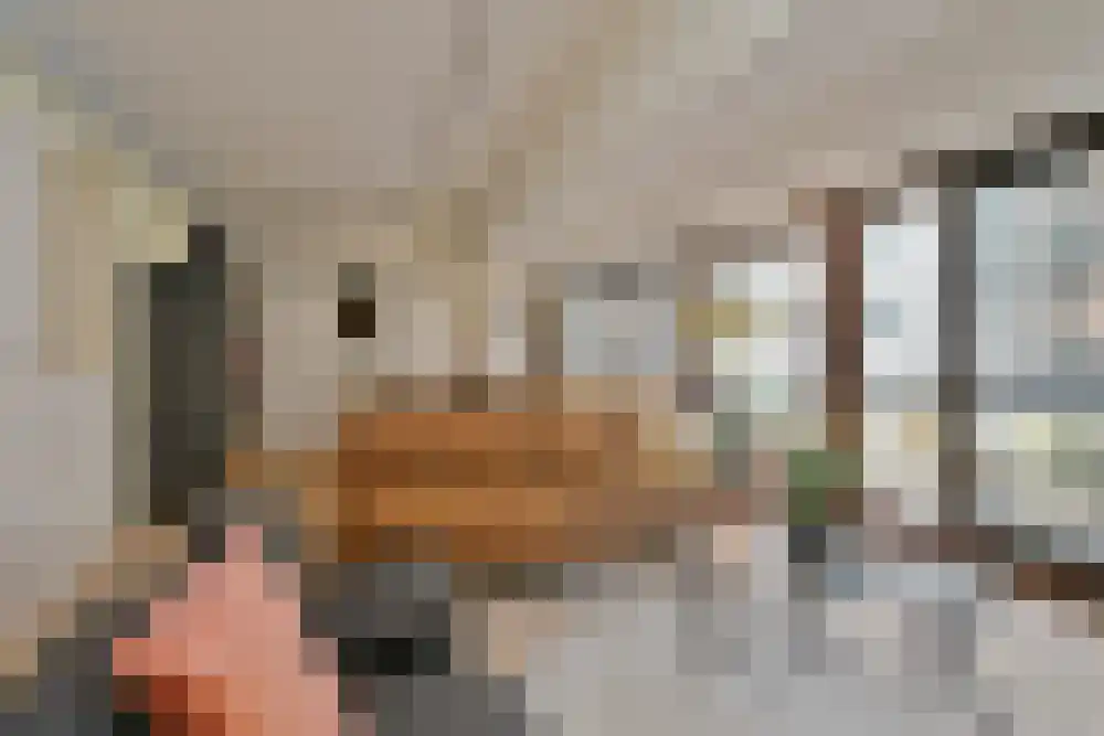 Volderhof 11 Eindhoven thumbnail 12