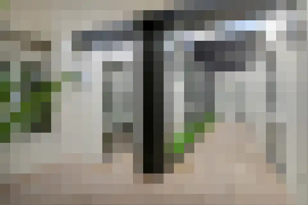 Volderhof 11 Eindhoven thumbnail 6
