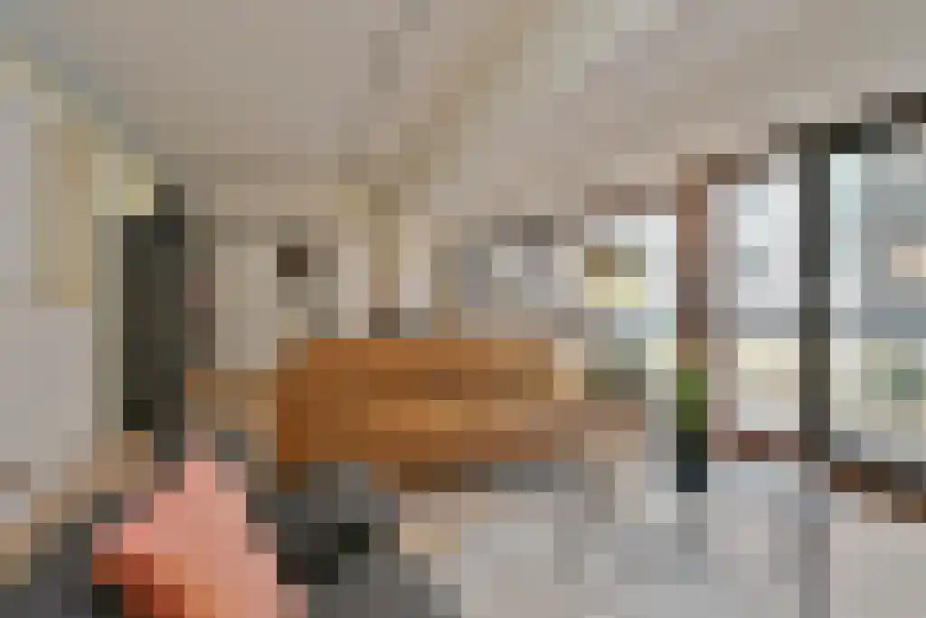Volderhof 11 Eindhoven thumbnail 6