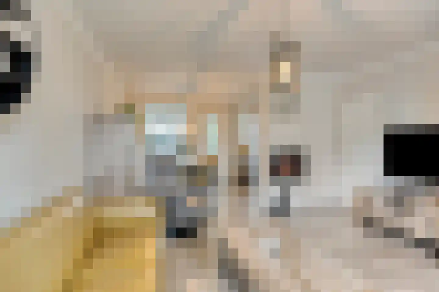 Volderhof 35 Helmond thumbnail 14