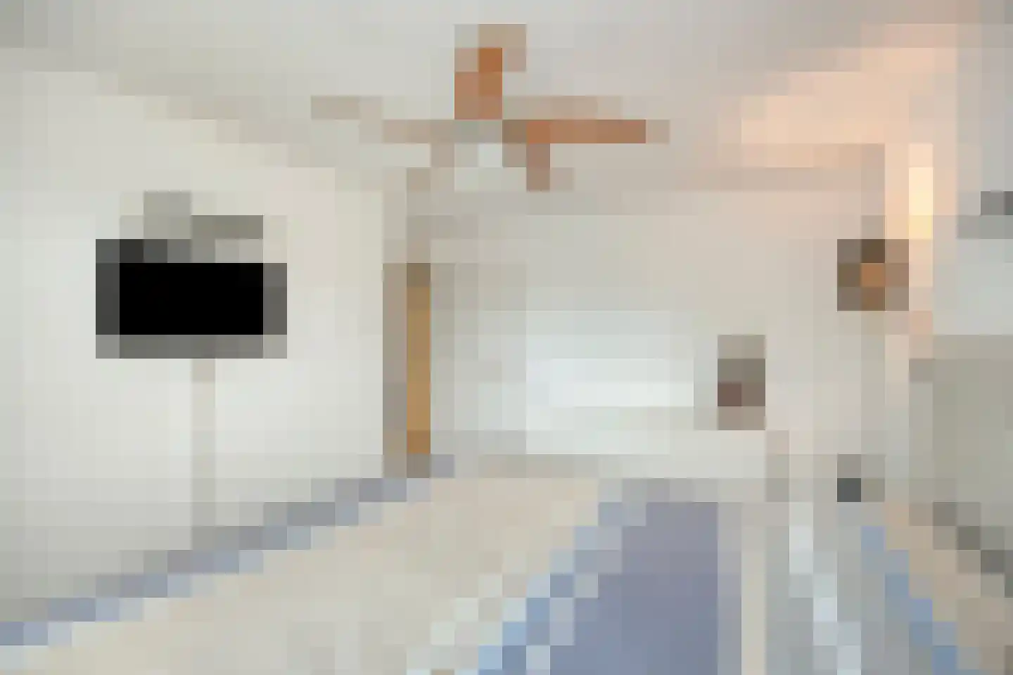 Volderhof 35 Helmond thumbnail 24