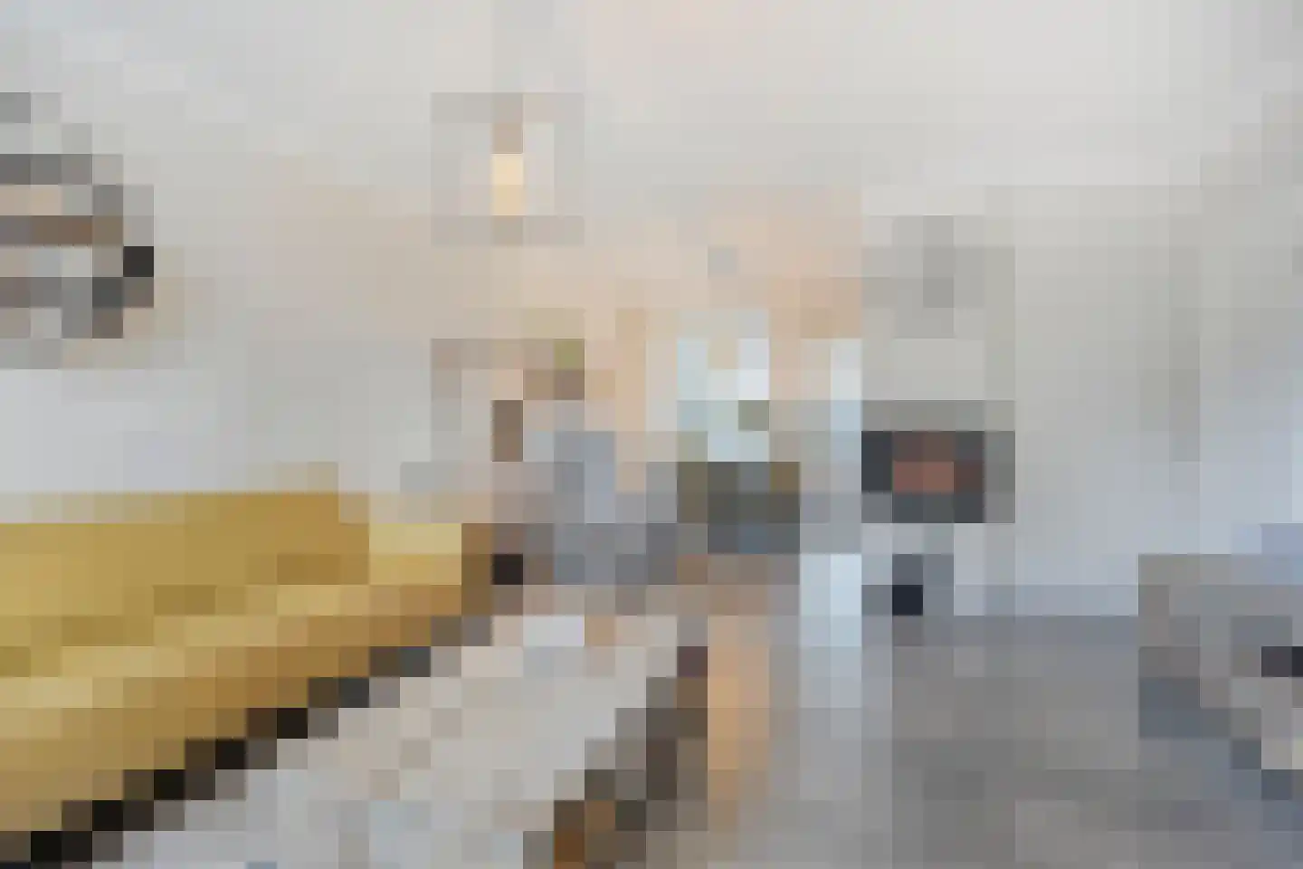 Volderhof 35 Helmond thumbnail 4