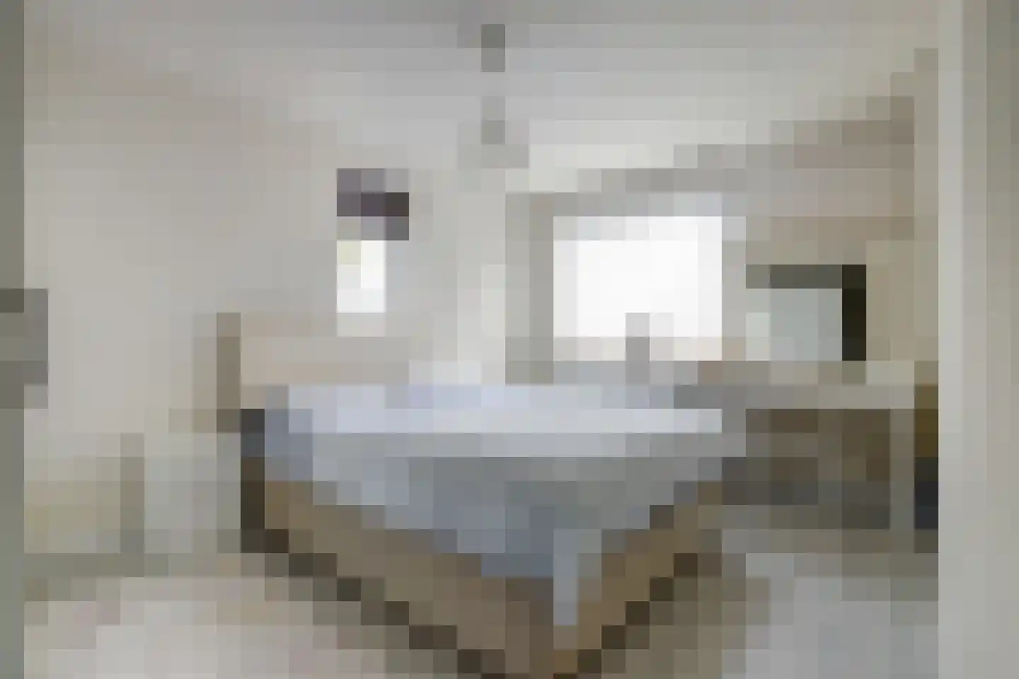 Volderhof 49 Helmond thumbnail 17