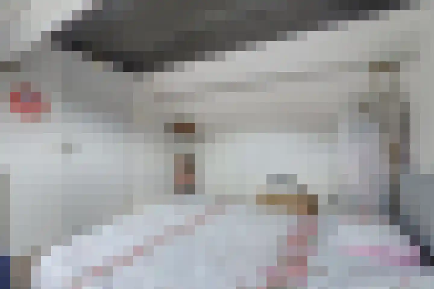 Volderhof 49 Helmond thumbnail 32