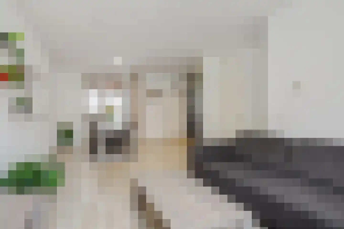 Volderhof 60 Helmond thumbnail 8