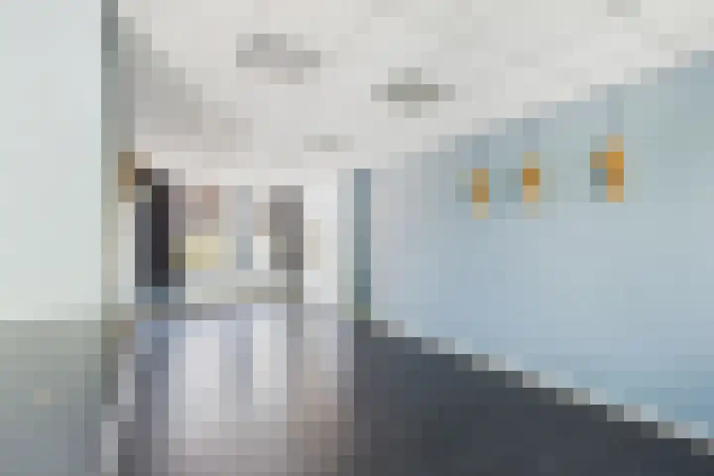 Volderijlaagte 3 Middelburg thumbnail 7