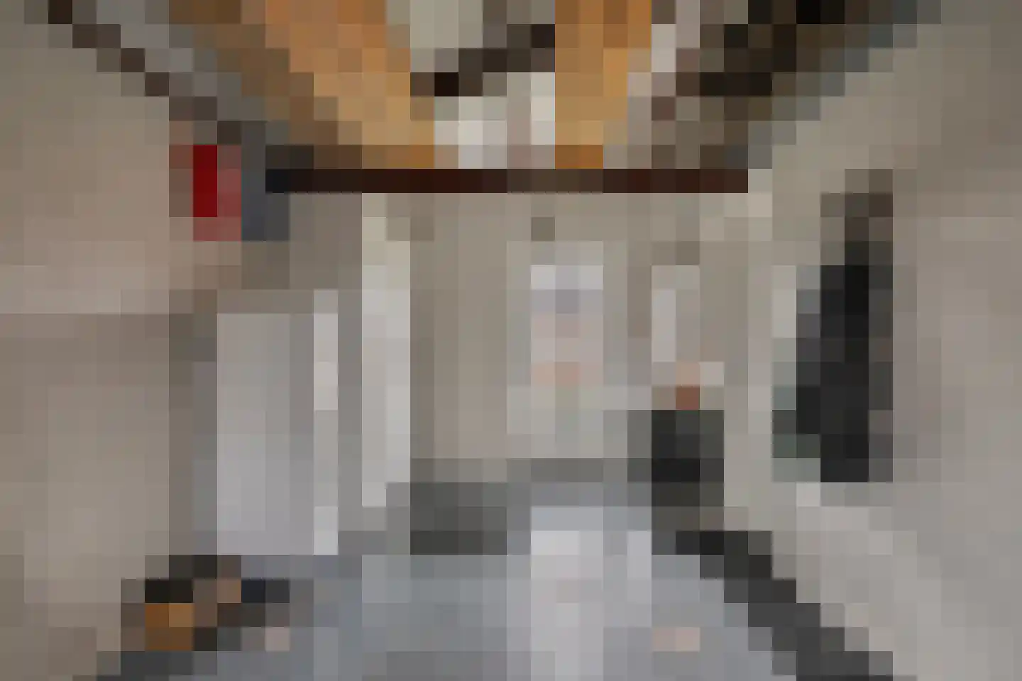 Voldersakker 5 Lage Mierde thumbnail 22