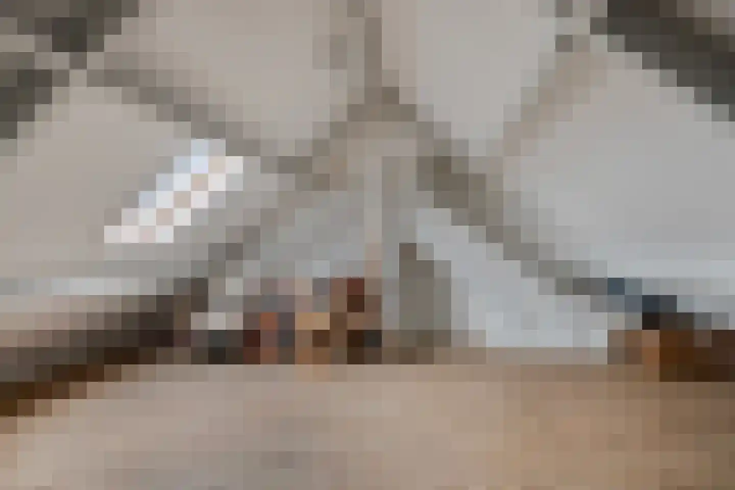 Voldersakker 5 Lage Mierde thumbnail 46