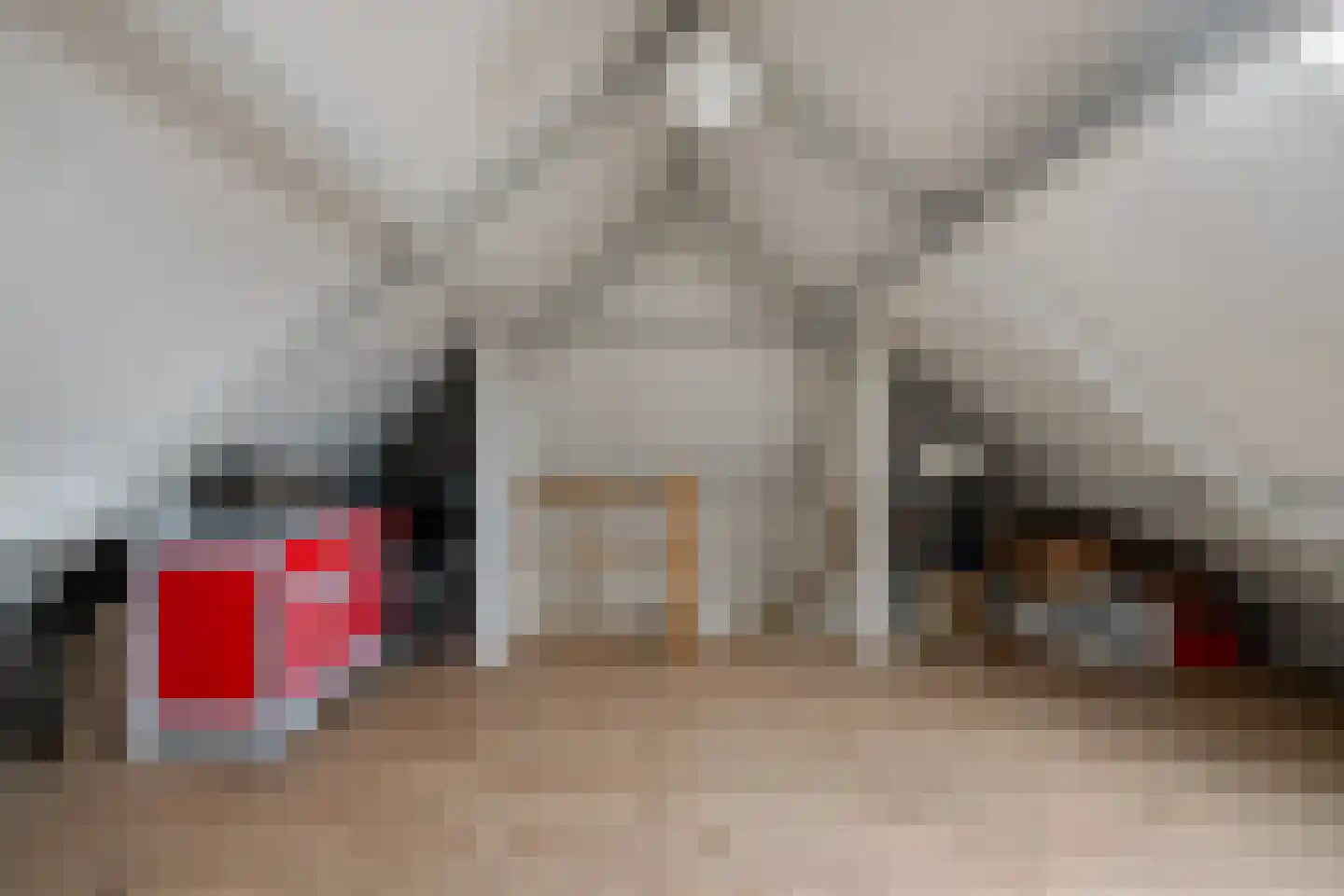 Voldersakker 5 Lage Mierde thumbnail 47