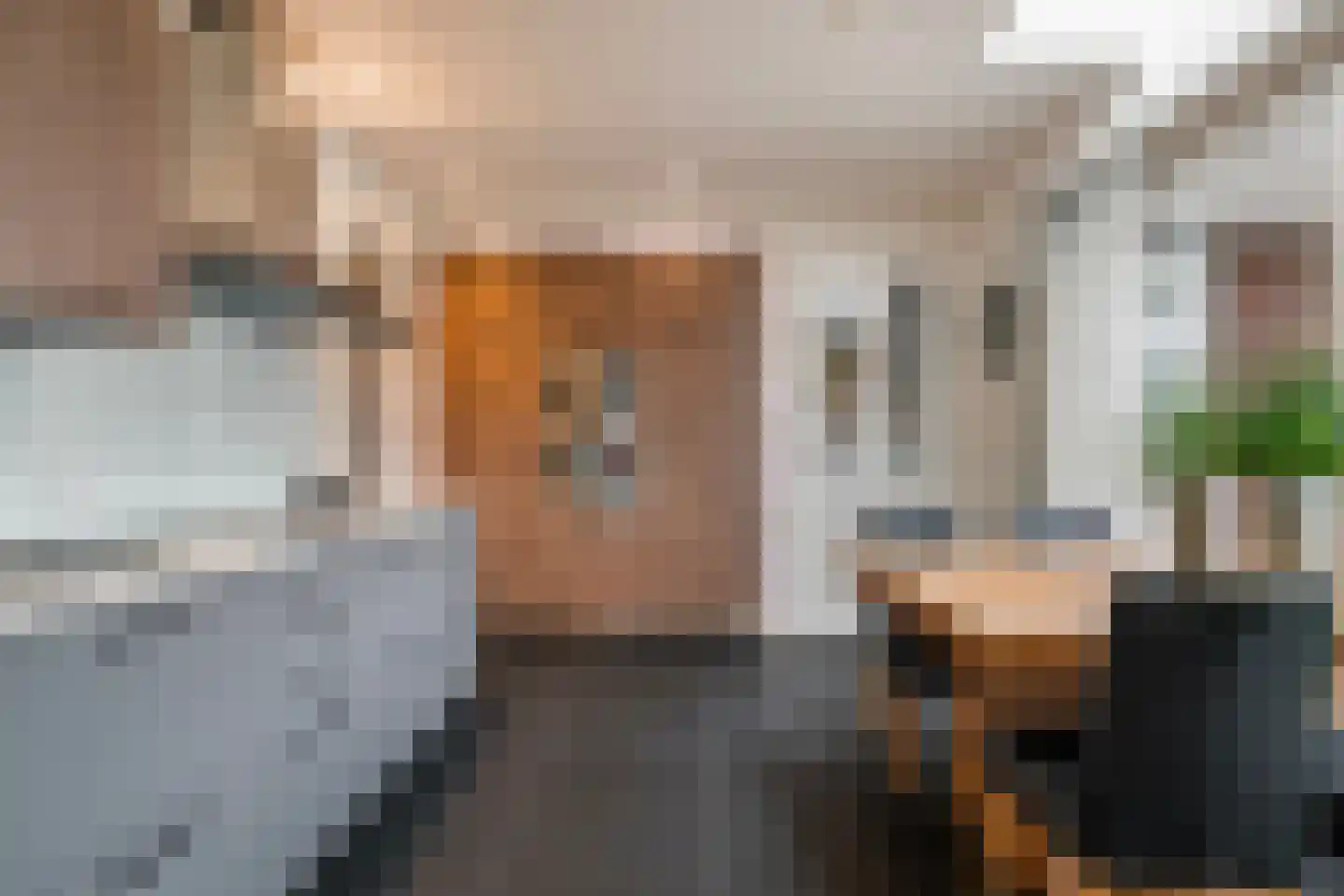 Voldersakker 5 Lage Mierde thumbnail 5