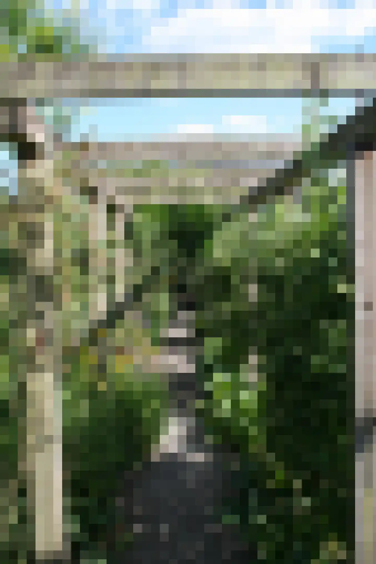 Voldersakker 5 Lage Mierde thumbnail 58