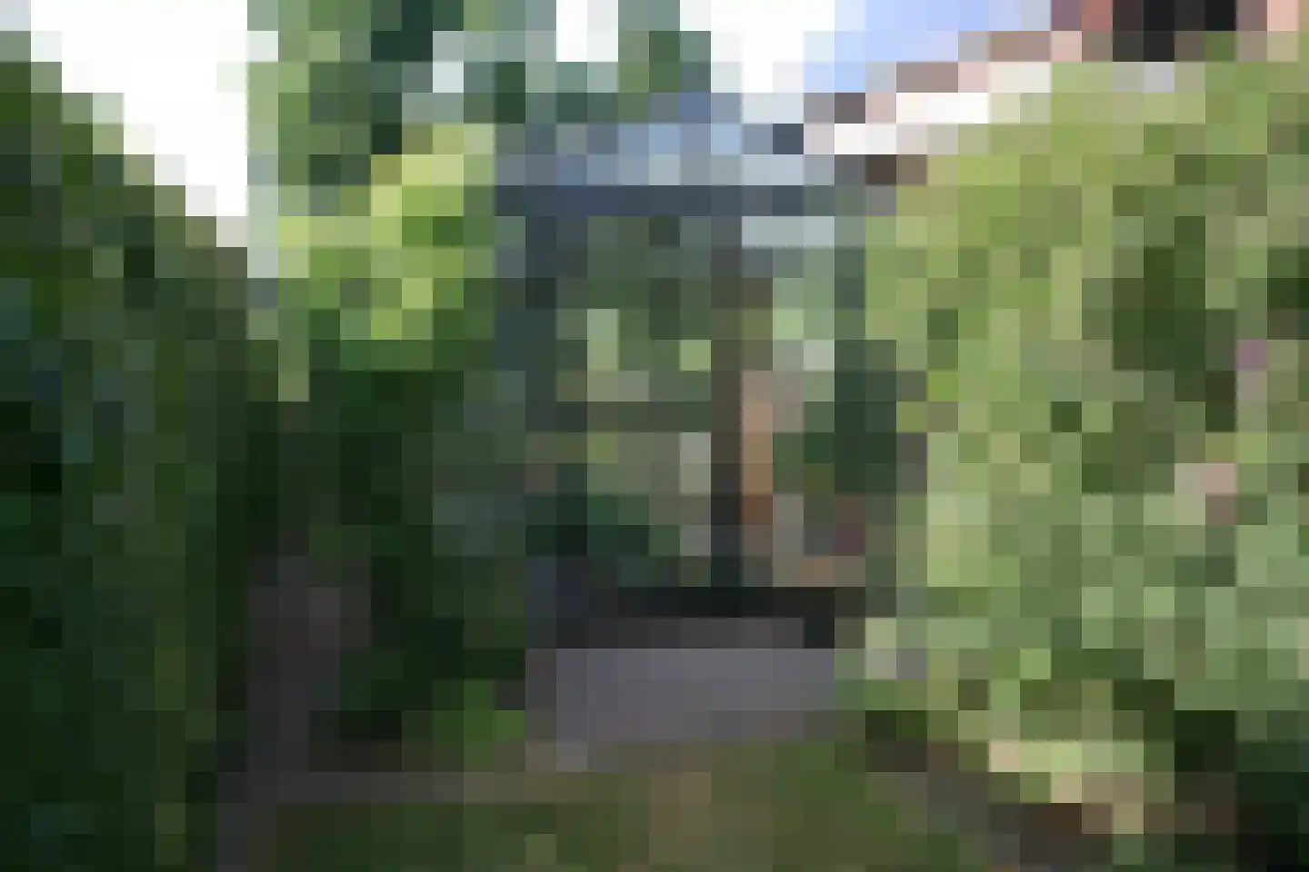 Voldersakker 5 Lage Mierde thumbnail 63