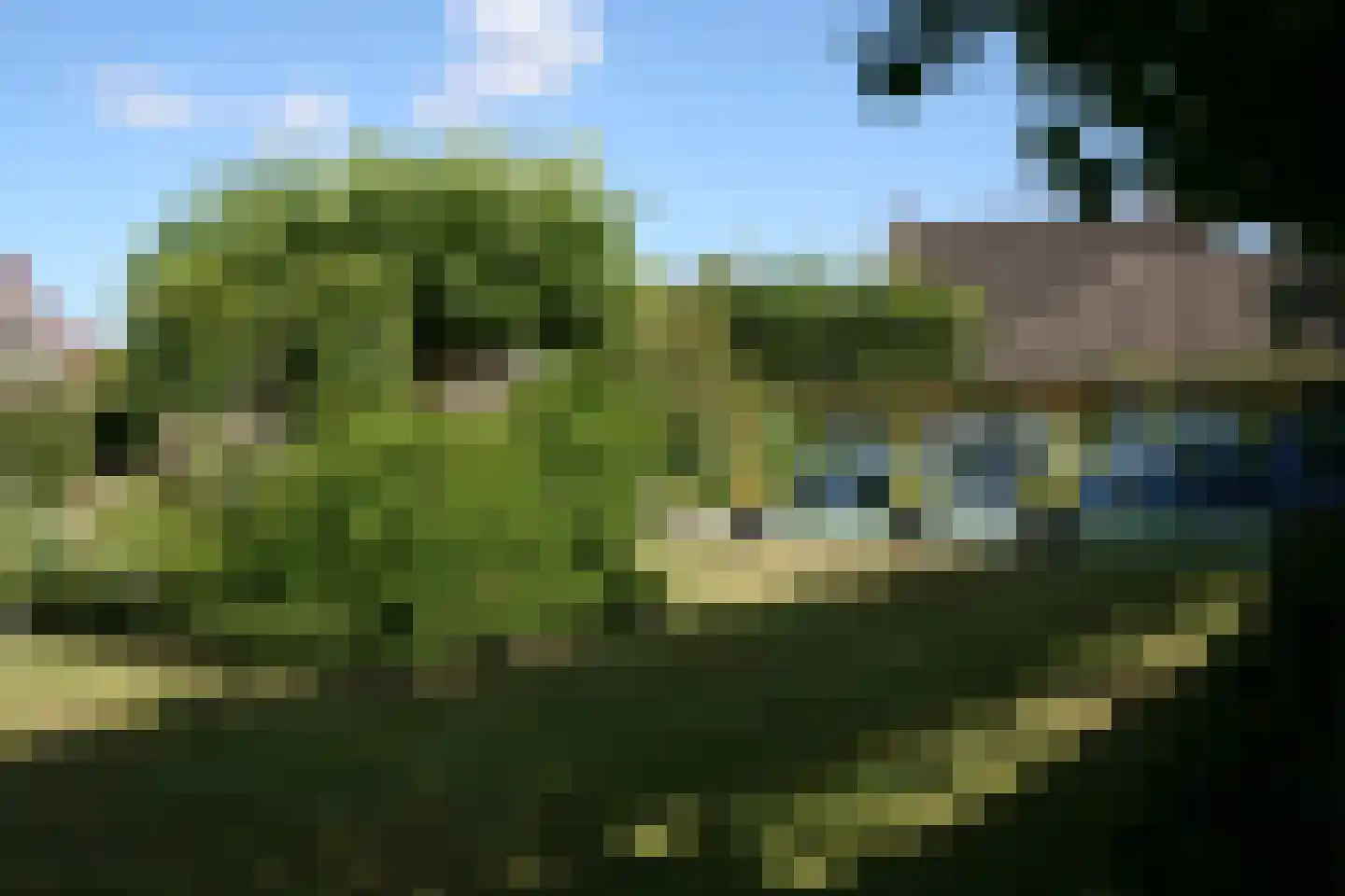 Voldersakker 5 Lage Mierde thumbnail 65