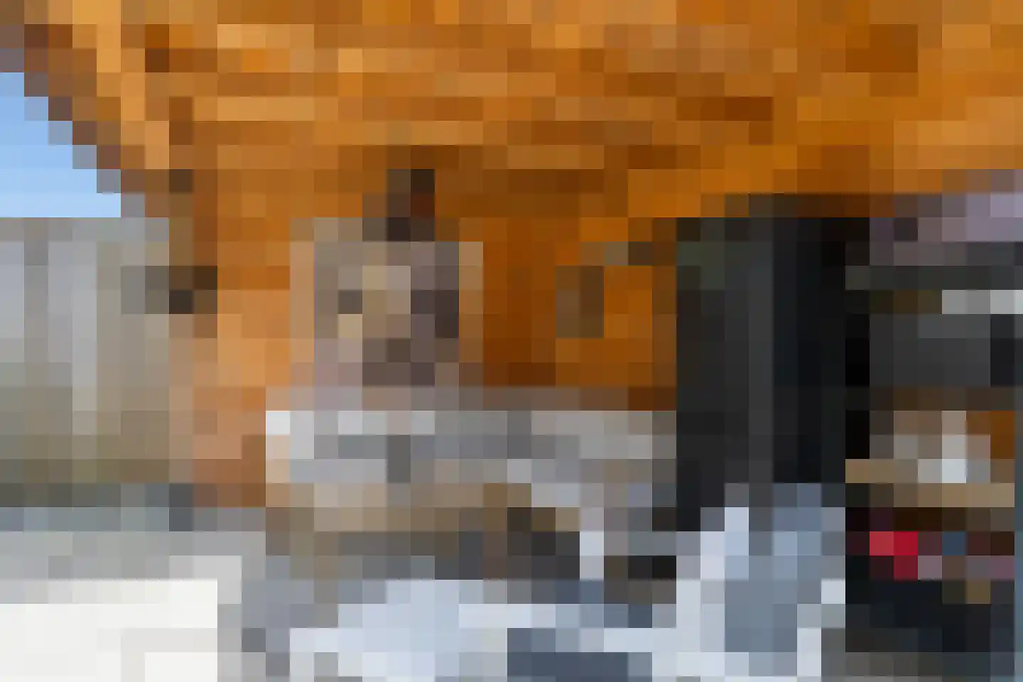 Voldersdreef 403 Apeldoorn thumbnail 24