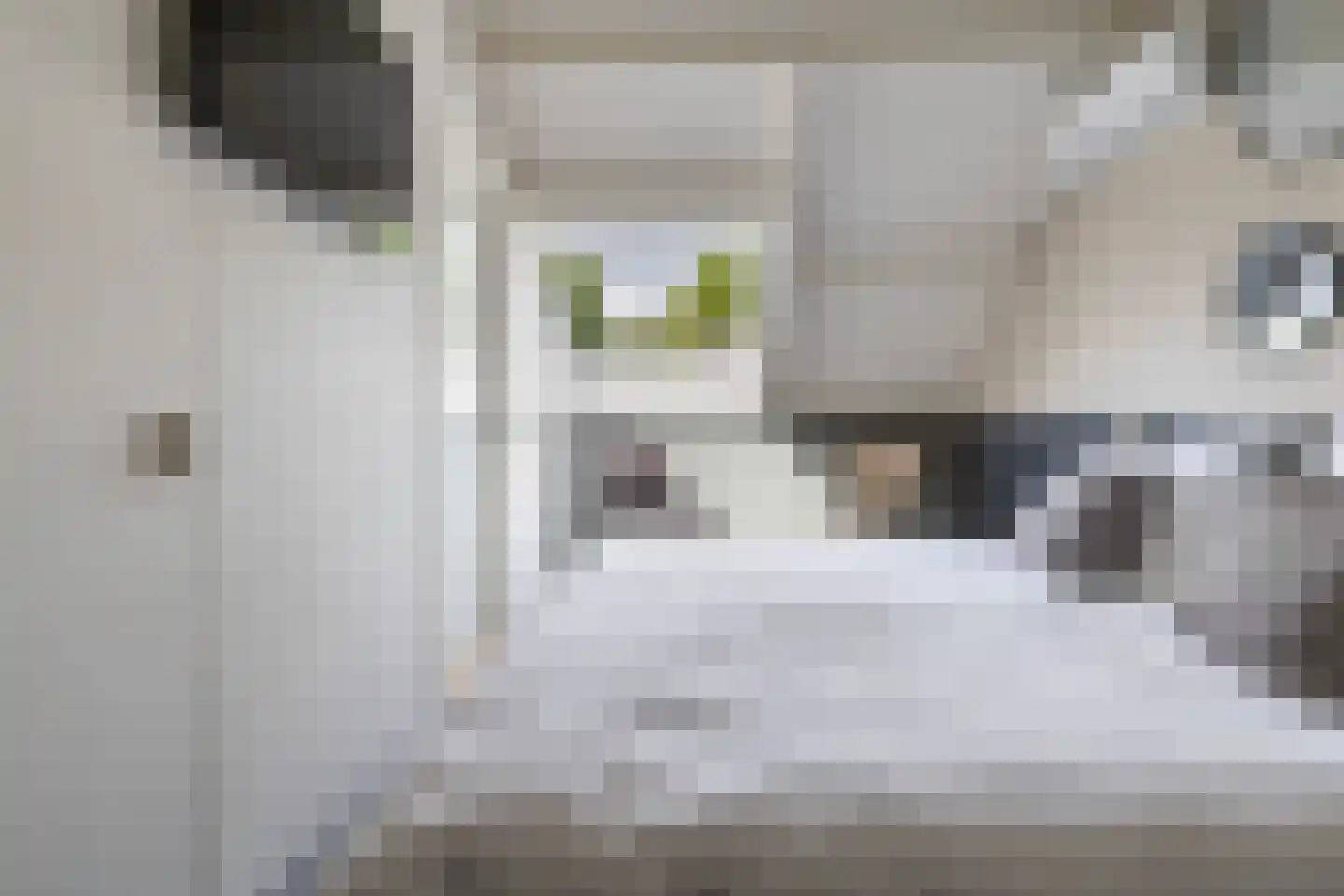 Voldersdreef 403 Apeldoorn thumbnail 37