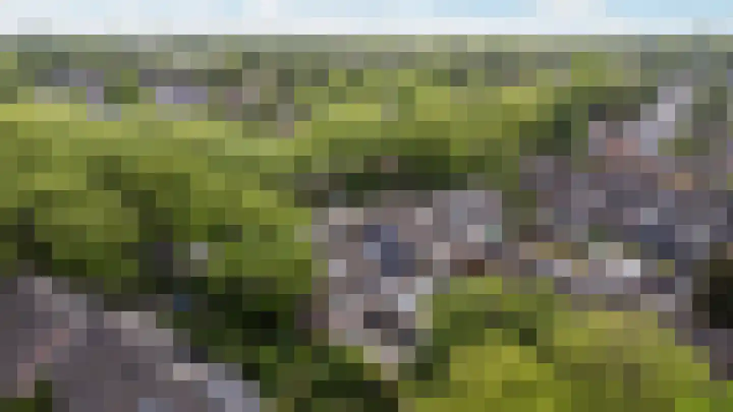 Voldersdreef 403 Apeldoorn thumbnail 40