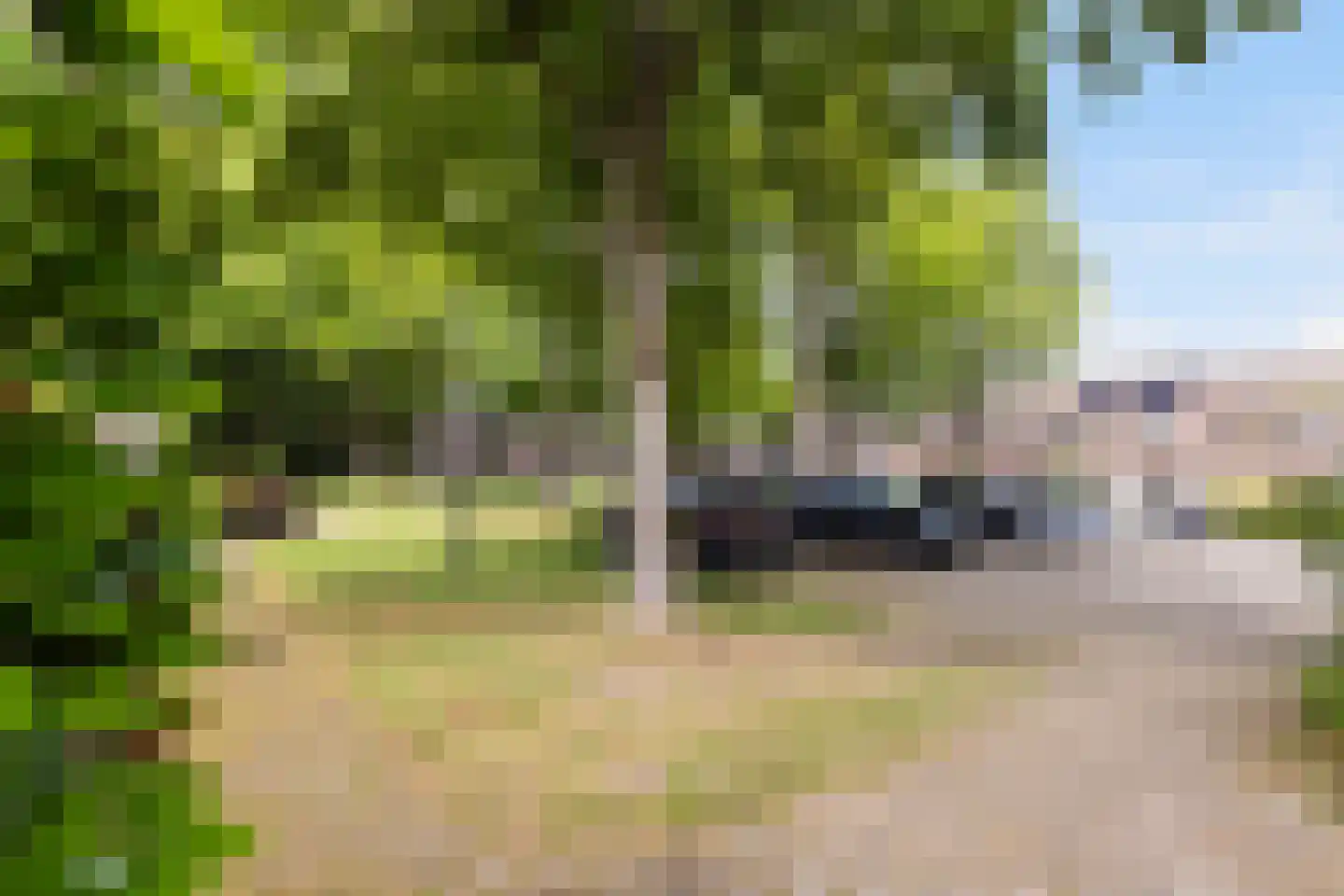 Voldersdreef 403 Apeldoorn thumbnail 41