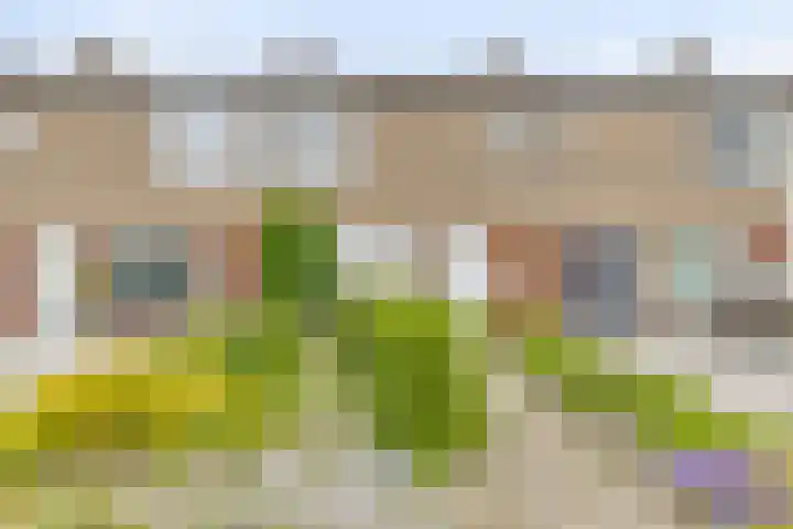 Voldersdreef 91 Maastricht thumbnail 28