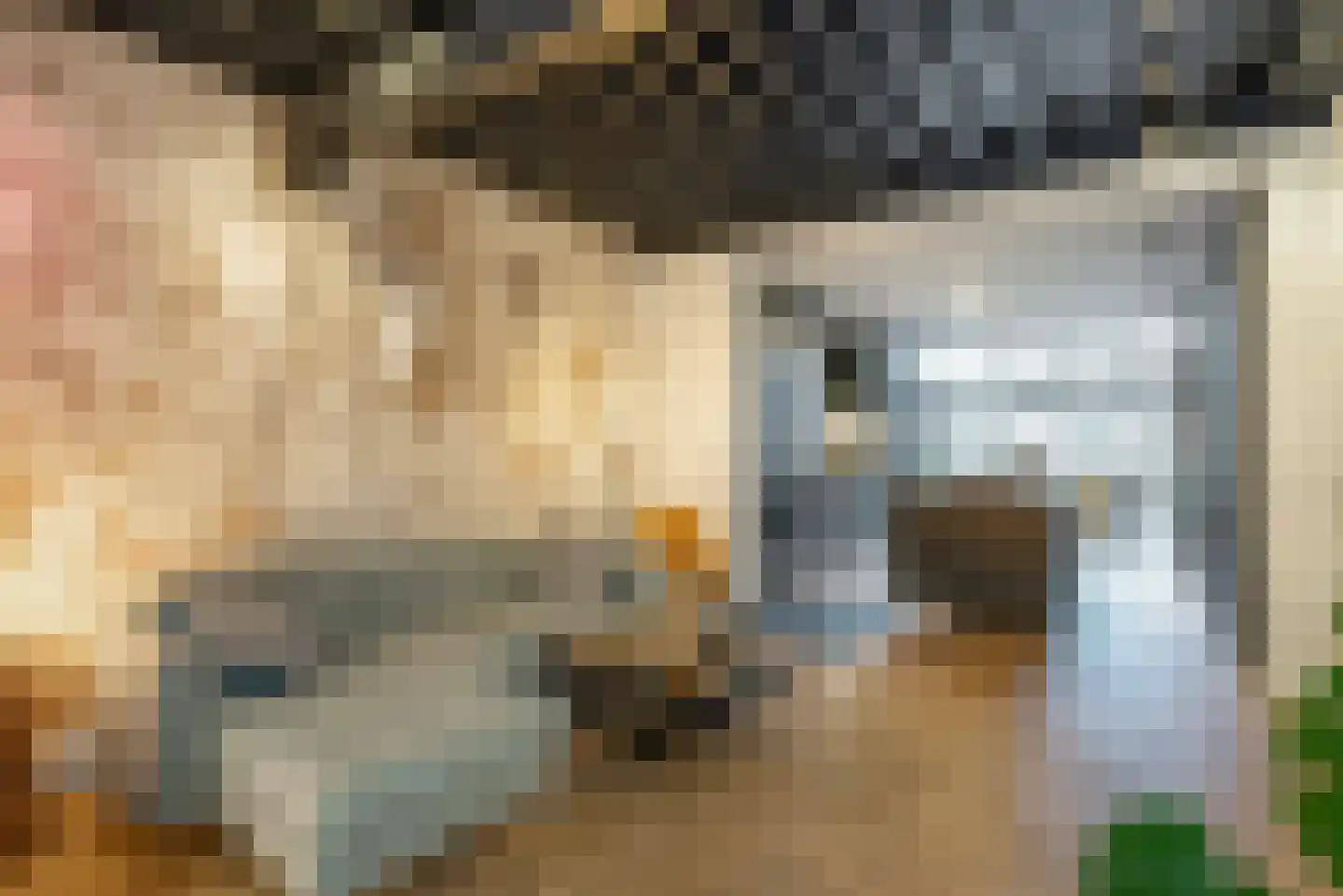 Voldersgracht 11 Delft thumbnail 17