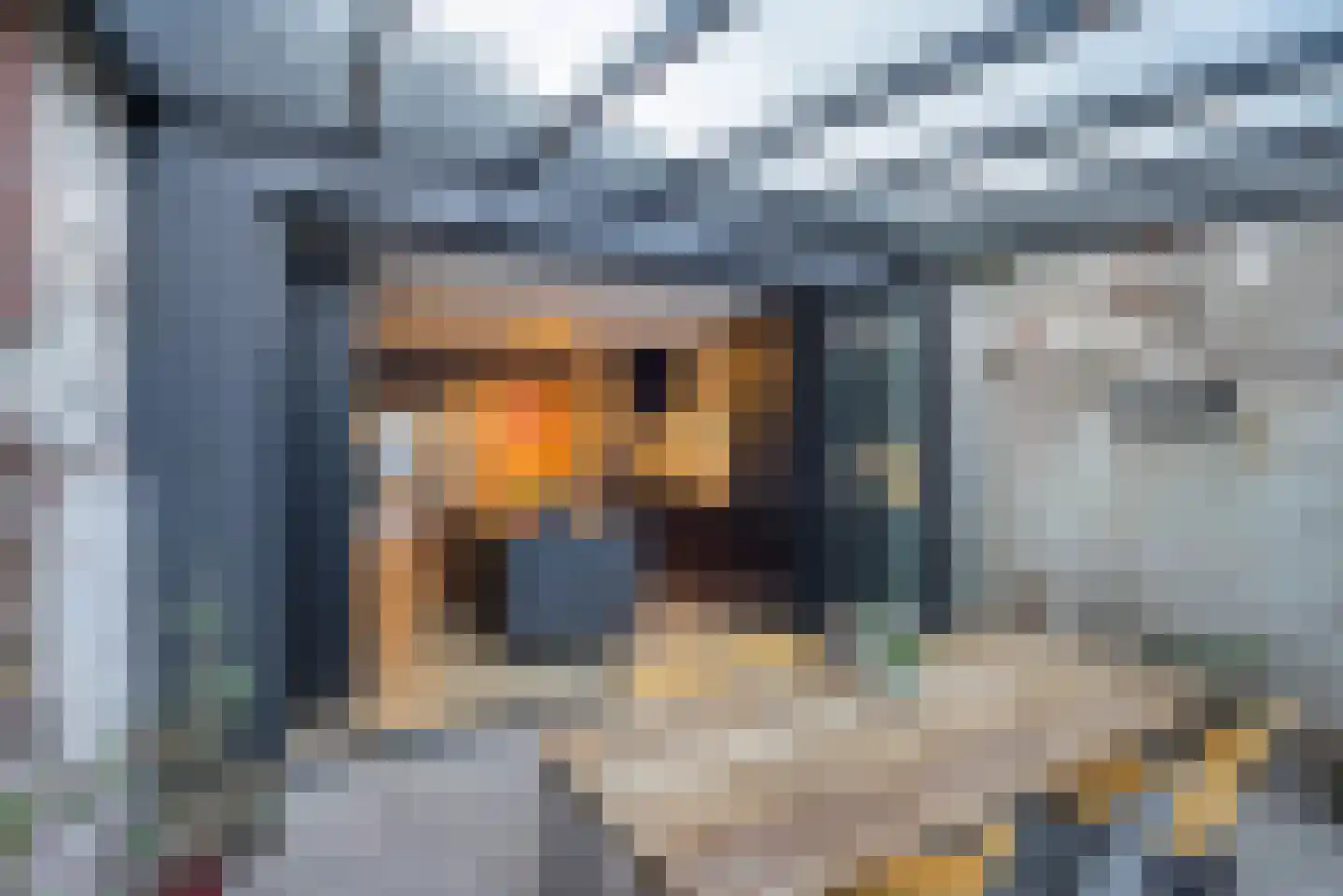 Voldersgracht 11 Delft thumbnail 26