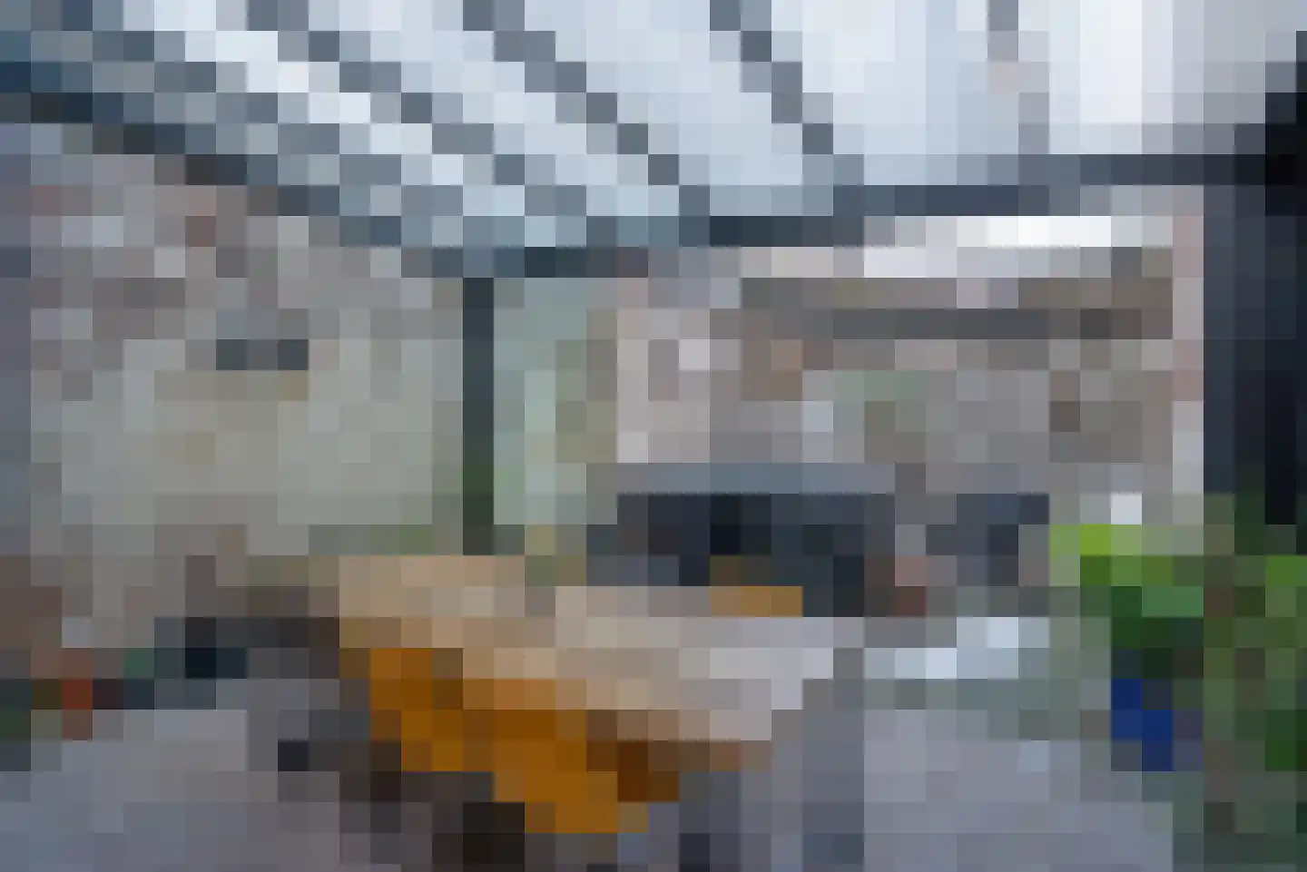 Voldersgracht 11 Delft thumbnail 28