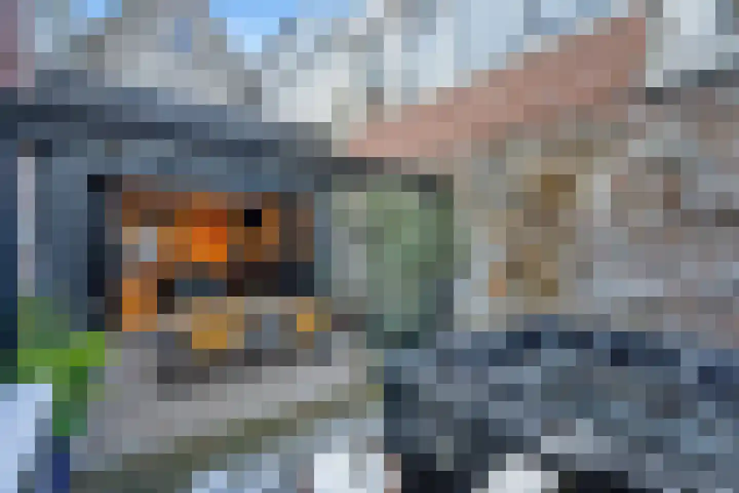 Voldersgracht 11 Delft thumbnail 30