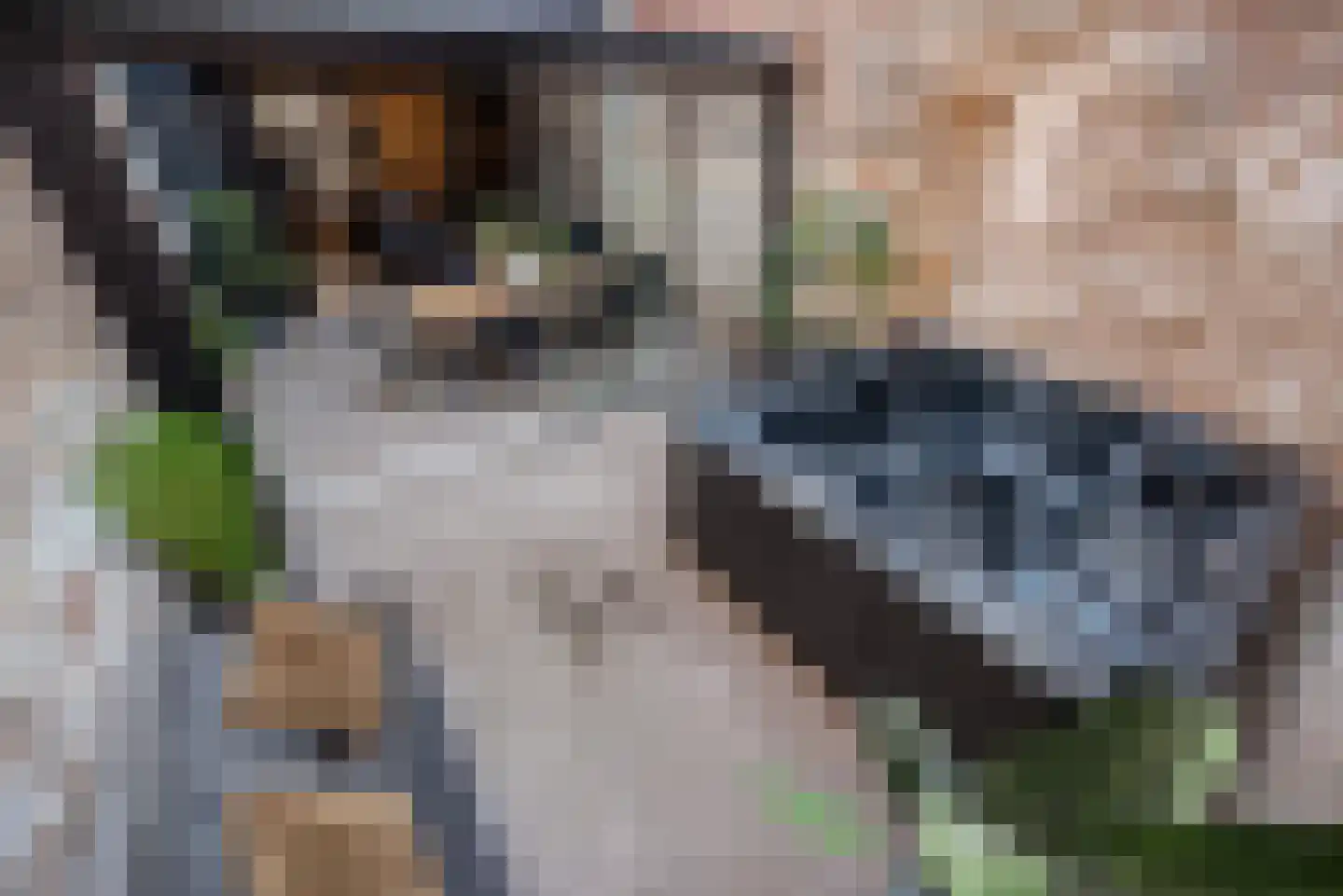 Voldersgracht 11 Delft thumbnail 31