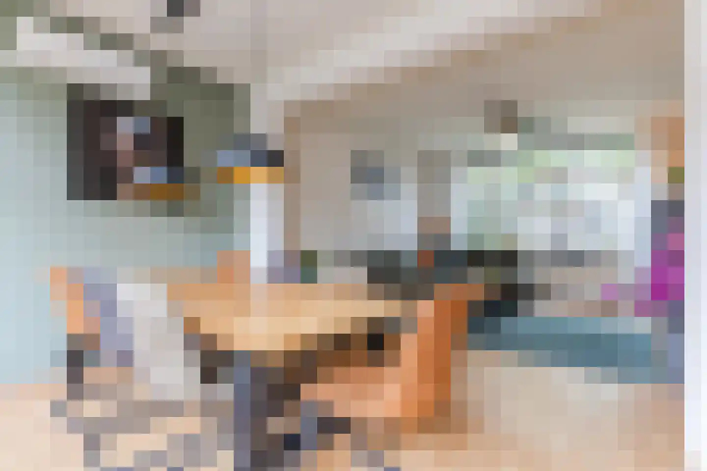 Volderstraat 16 Geldrop thumbnail 11