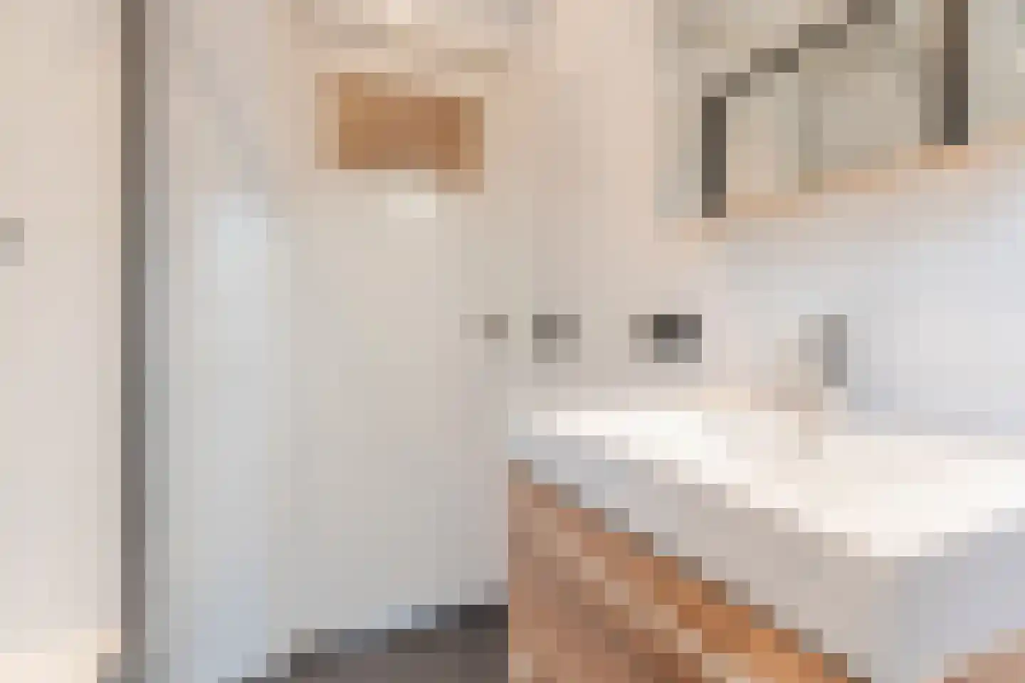 Volderstraat 16 Geldrop thumbnail 28