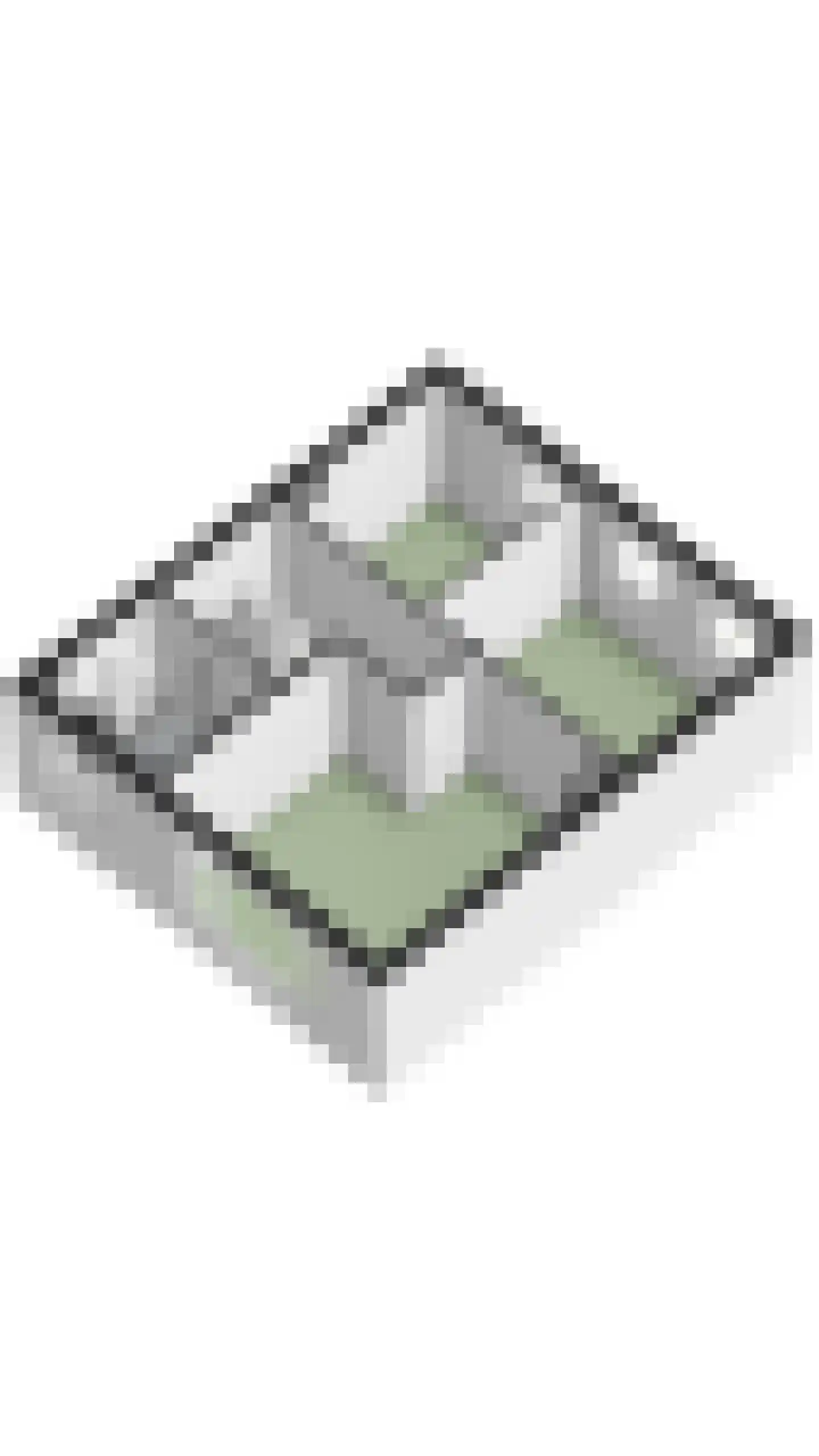 Volderstraat 16 Geldrop thumbnail 55