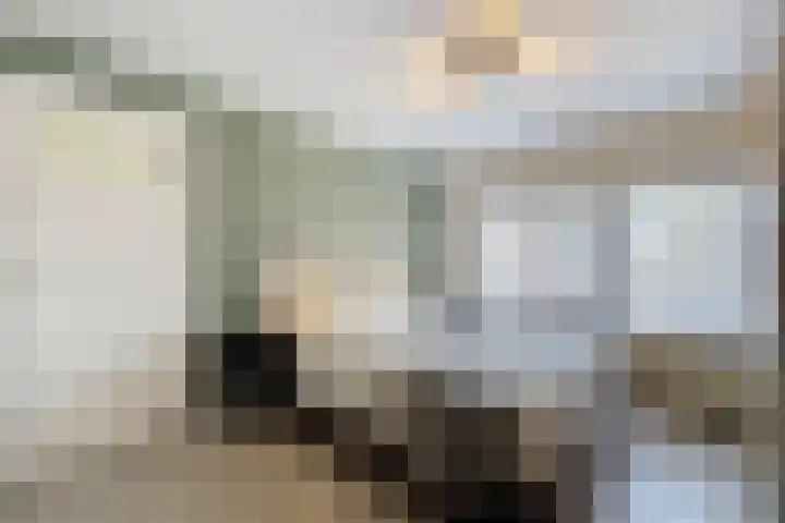 Volderstraat 17 Oostburg thumbnail 20