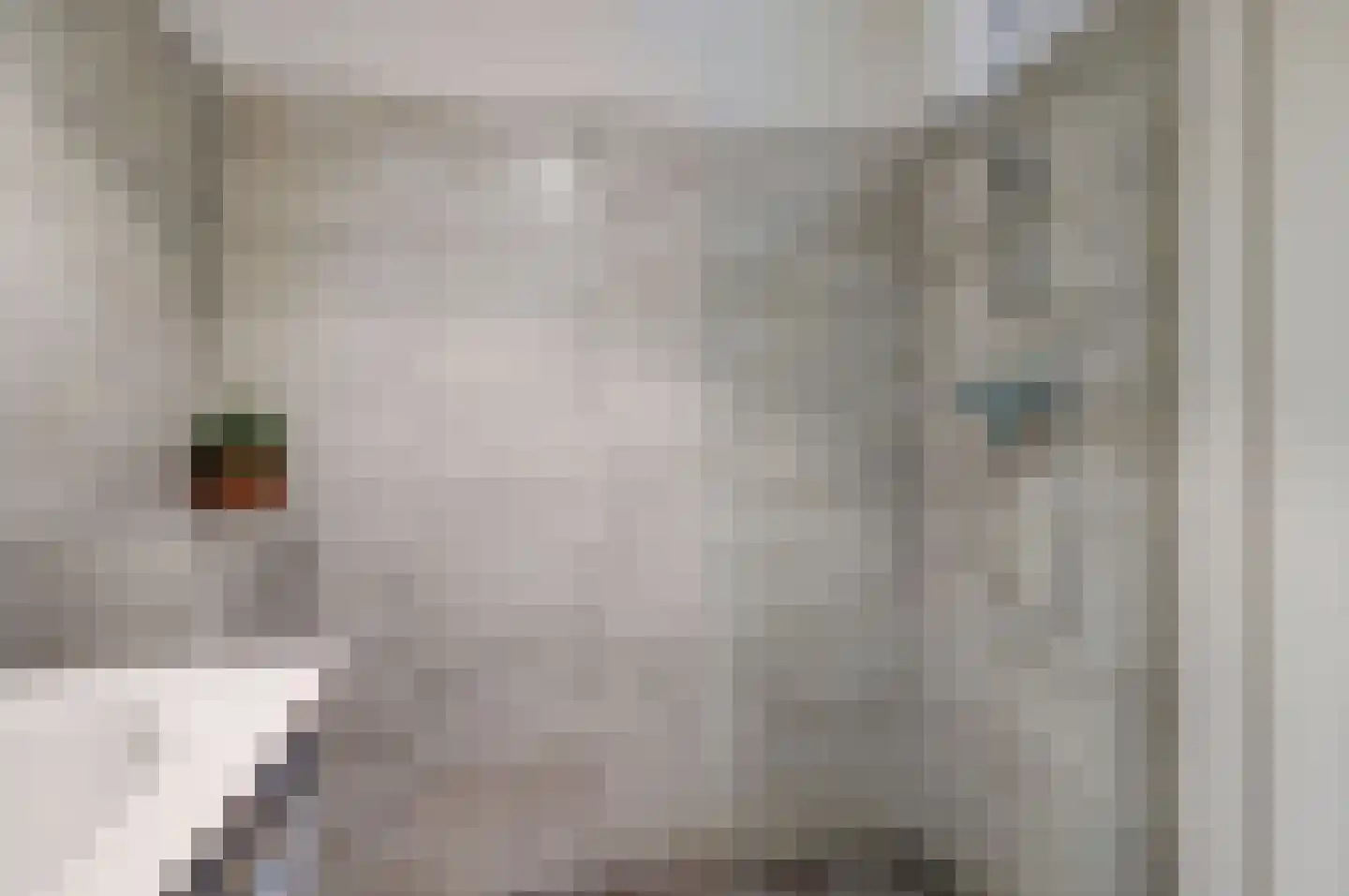 Volderstraat 17 Wijk bij Duurstede thumbnail 17