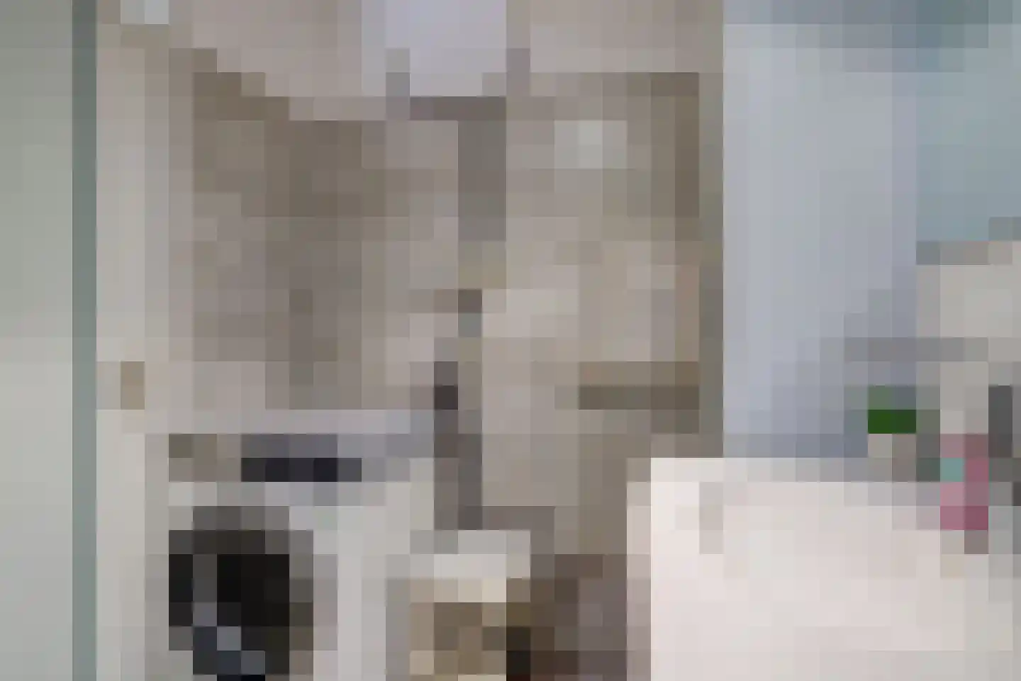Volderstraat 17 Wijk bij Duurstede thumbnail 18