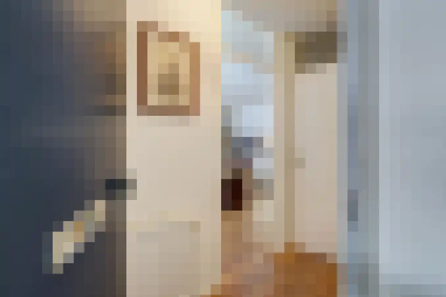 Volderstraat 17 Wijk bij Duurstede thumbnail 20