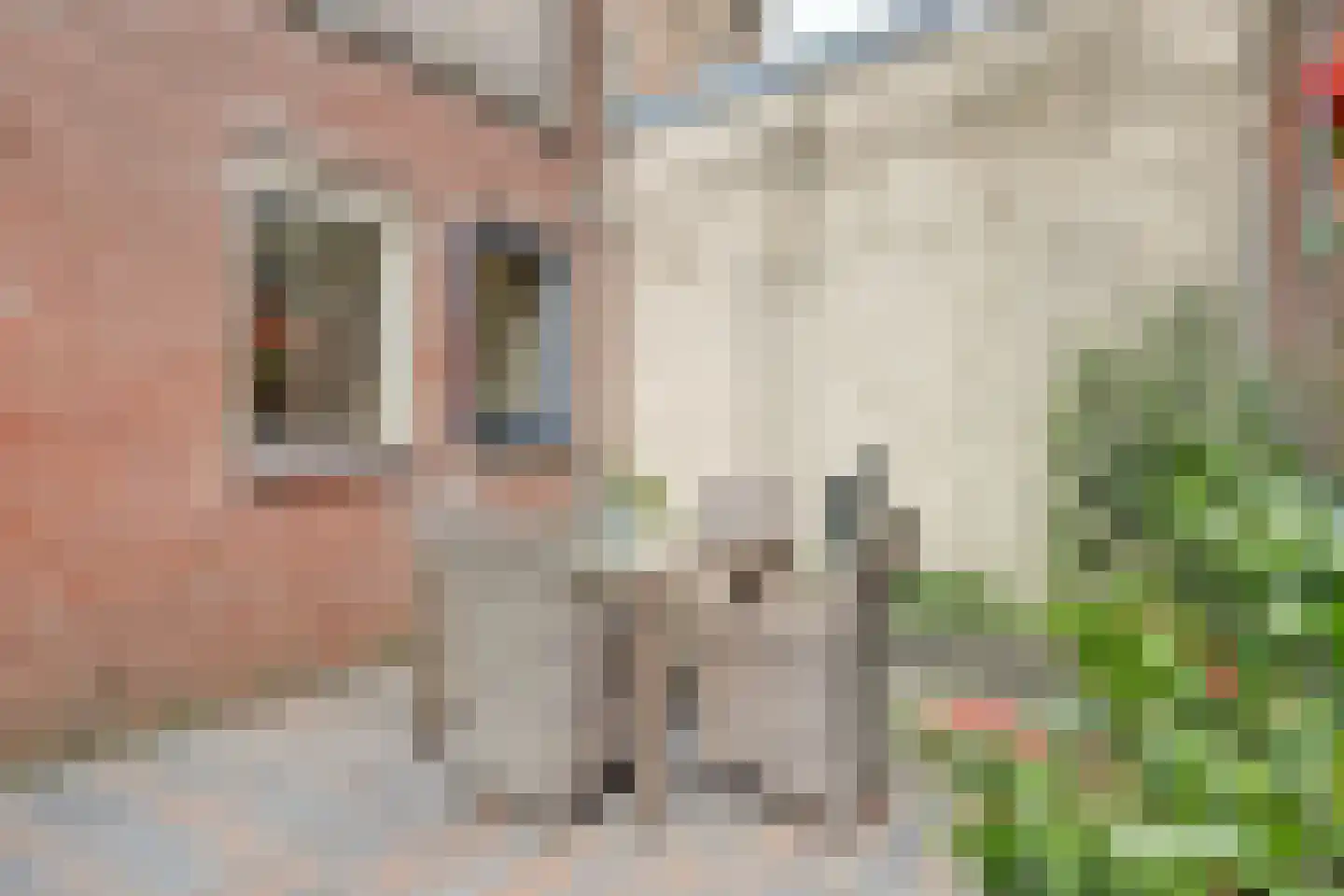Volderstraat 17 Wijk bij Duurstede thumbnail 22