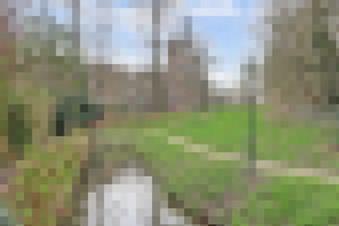 Volderstraat 17 Wijk bij Duurstede thumbnail 33