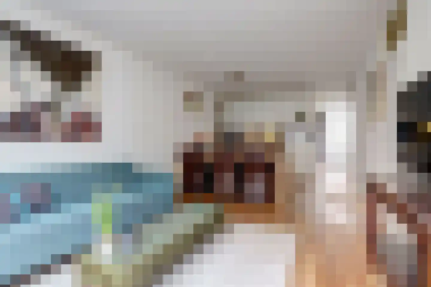 Volderstraat 17 Wijk bij Duurstede thumbnail 5