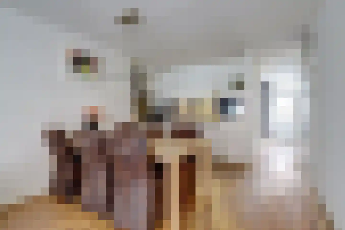 Volderstraat 17 Wijk bij Duurstede thumbnail 8