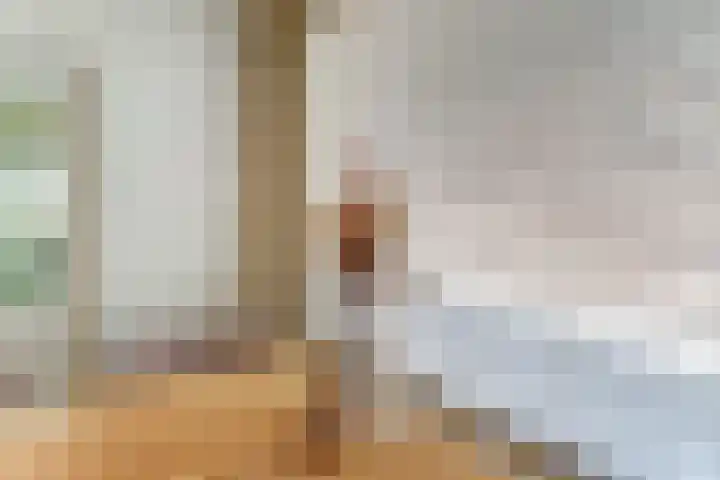 Volderstraat 20 Hoogeloon thumbnail 12