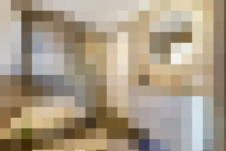 Volderstraat 20 Hoogeloon thumbnail 25