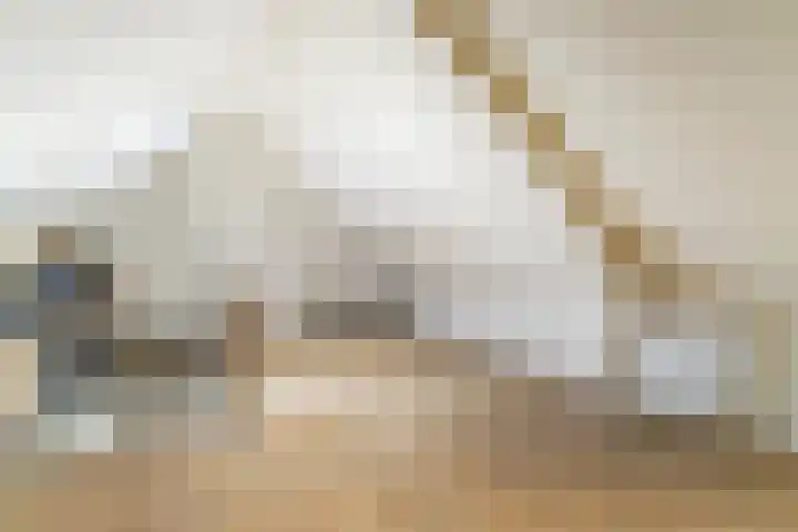 Volderstraat 20 Hoogeloon thumbnail 29