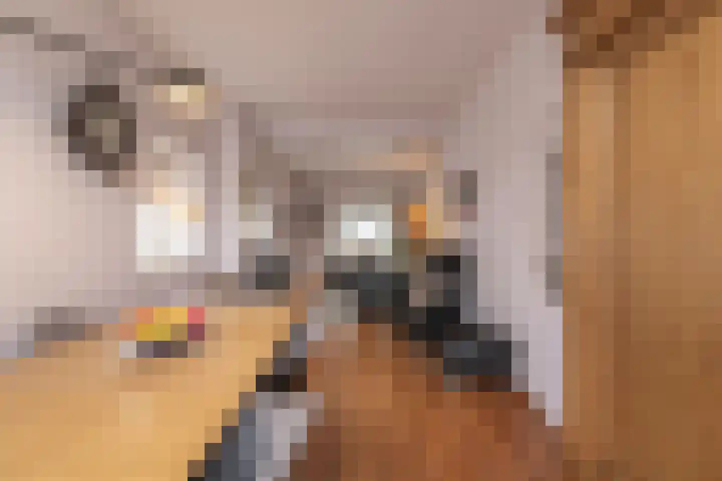 Volderstraat 21 Meerssen thumbnail 10