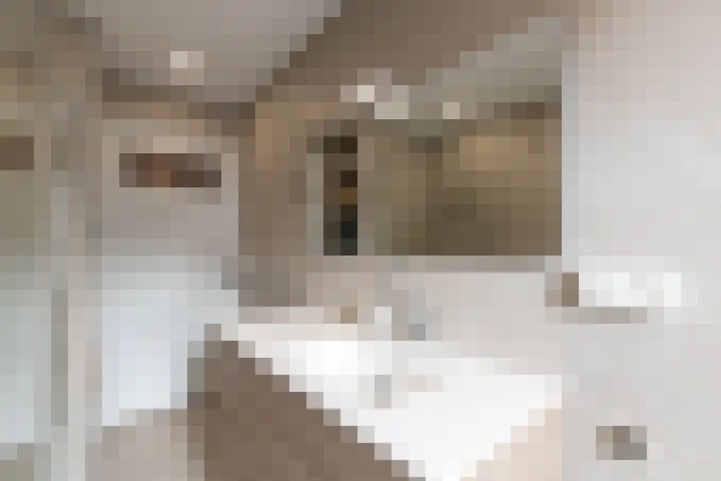 Volderstraat 21 Meerssen thumbnail 16