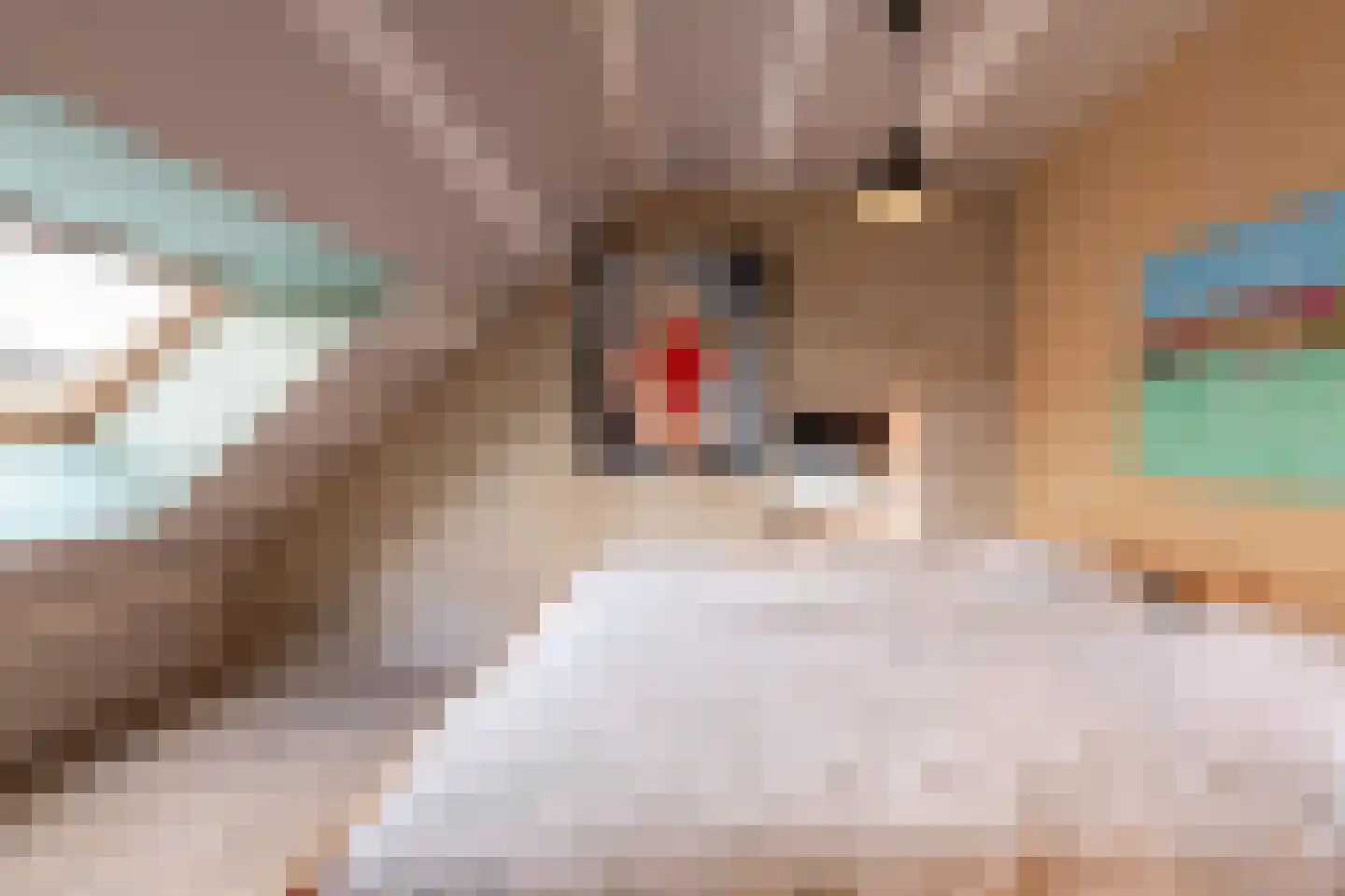 Volderstraat 21 Meerssen thumbnail 30