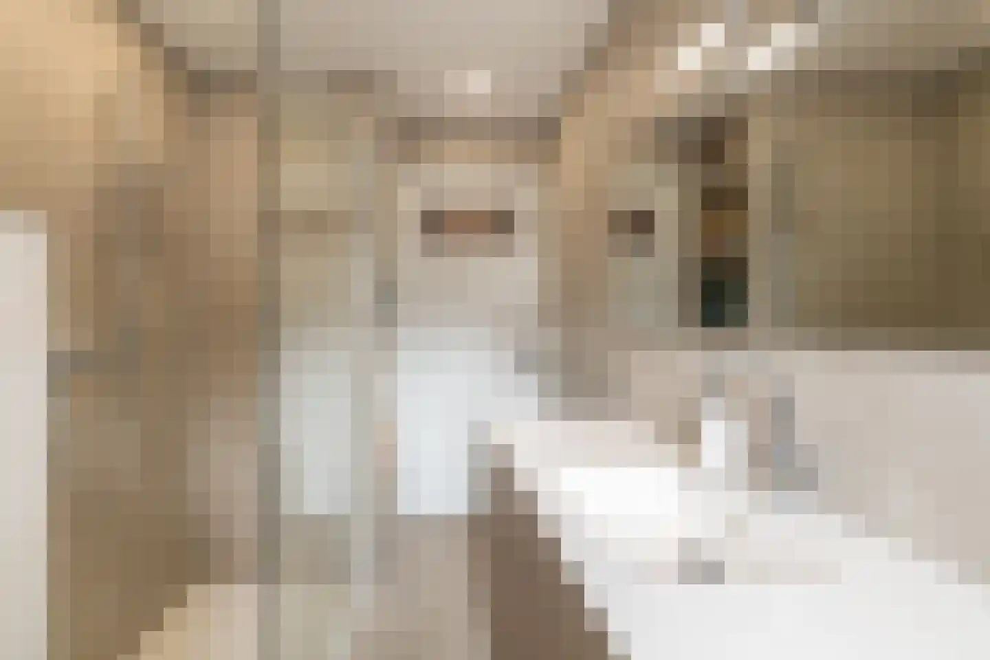 Volderstraat 21 Meerssen thumbnail 4